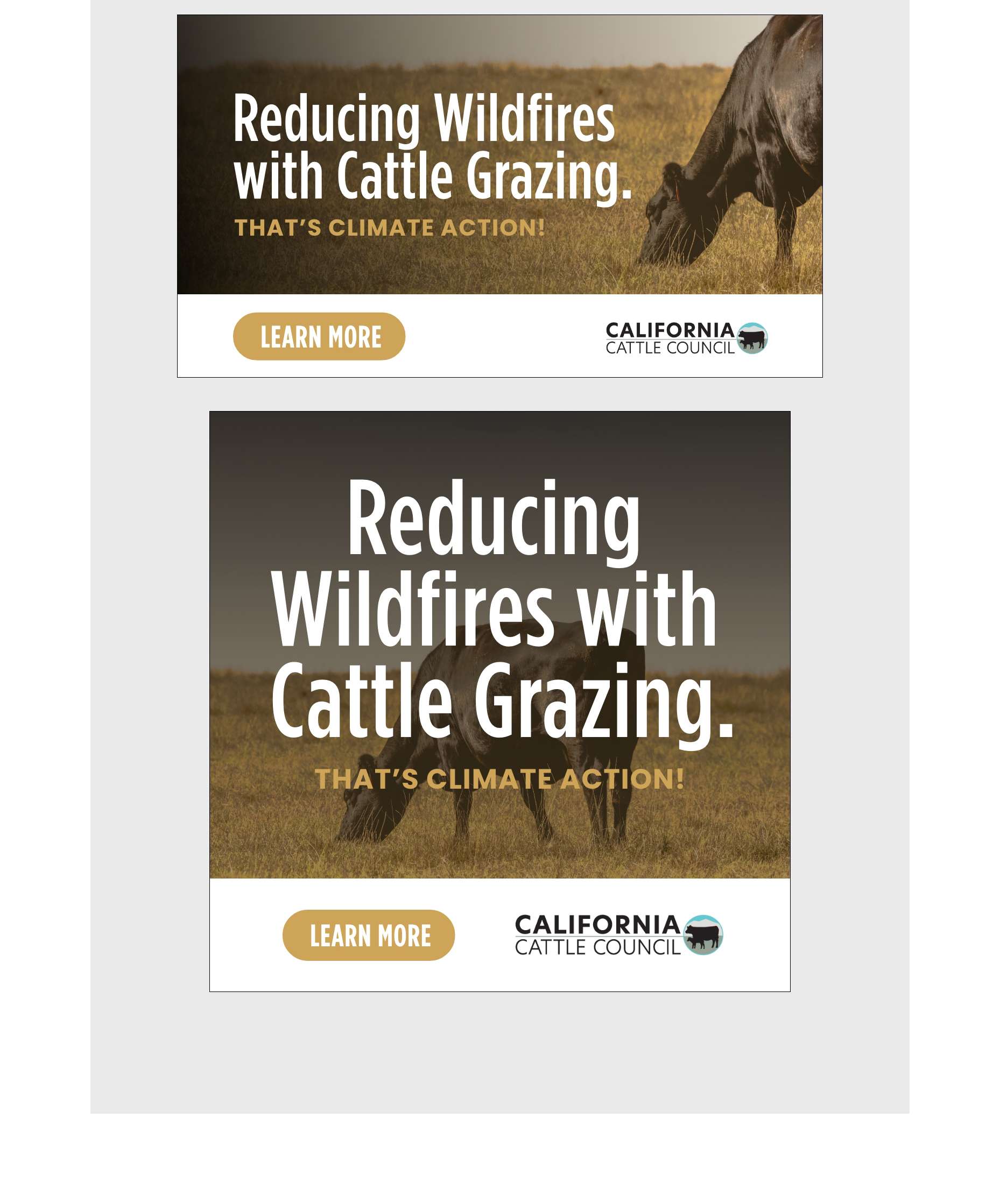California Cattle Council image 4